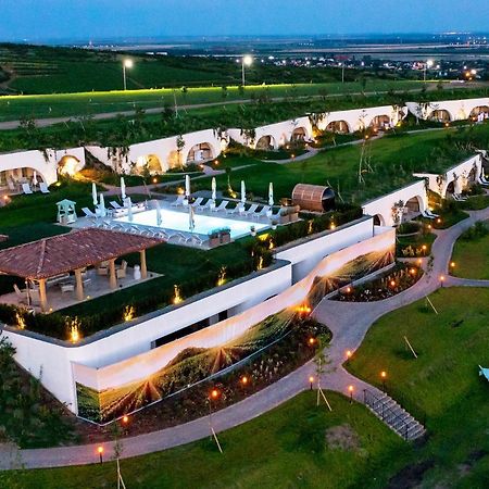 Casa Timis - Wellness & Spa Resort Chitorani Экстерьер фото Aerial view of the resort