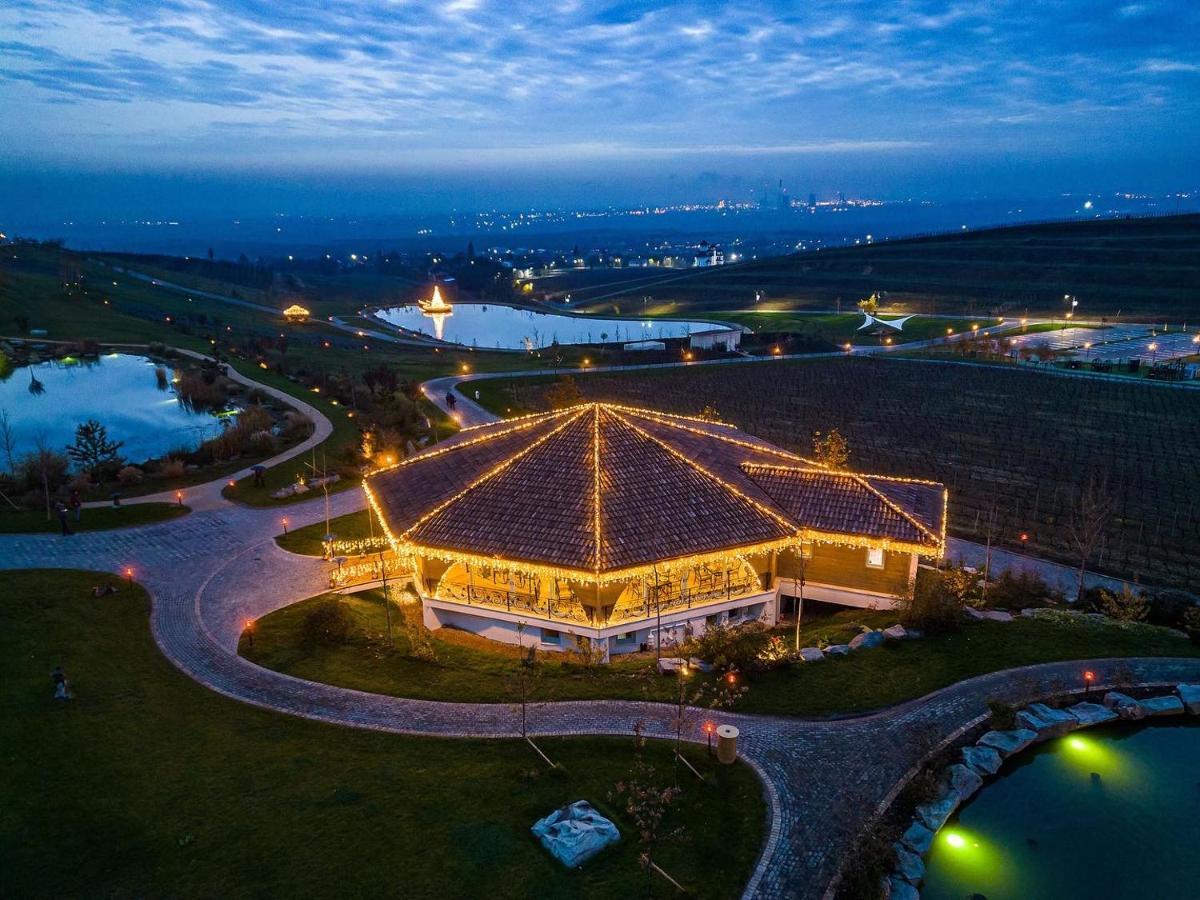 Casa Timis - Wellness & Spa Resort Chitorani Экстерьер фото Aerial view of the venue